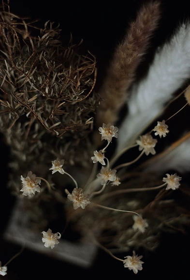 ドライフラワーを挿した花器をおしゃれに撮った写真